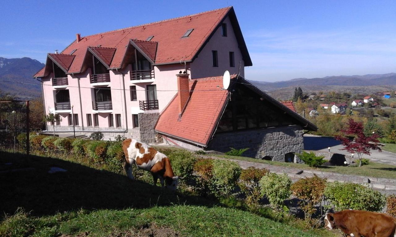 Hotel Sofia Бран Экстерьер фото